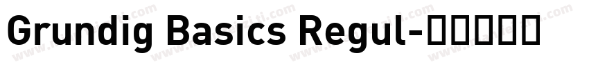 Grundig Basics Regul字体转换